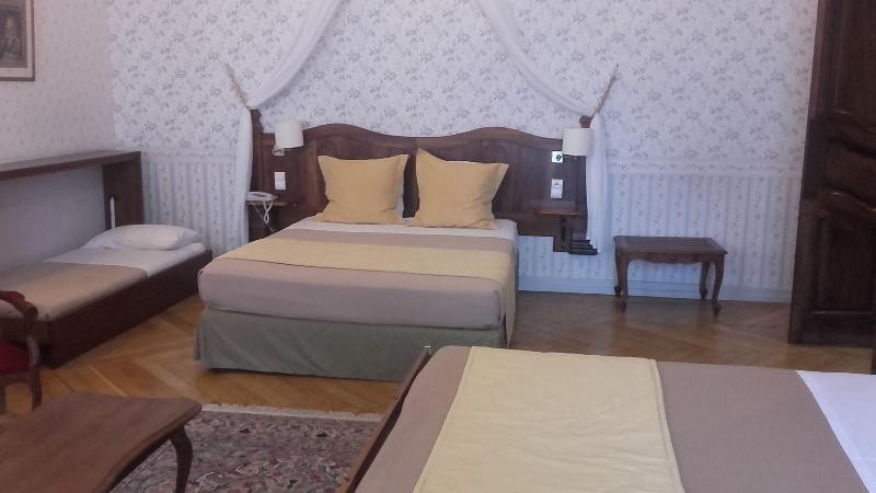 Cit'Hotel Sphinx - Hotel Монтелимар Экстерьер фото